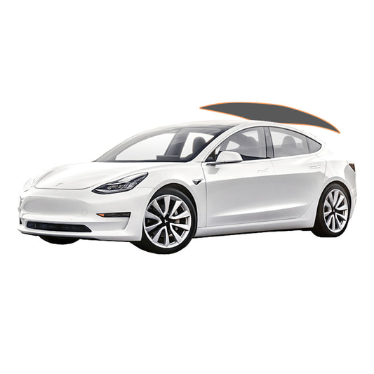 Tesla3 Panoramic