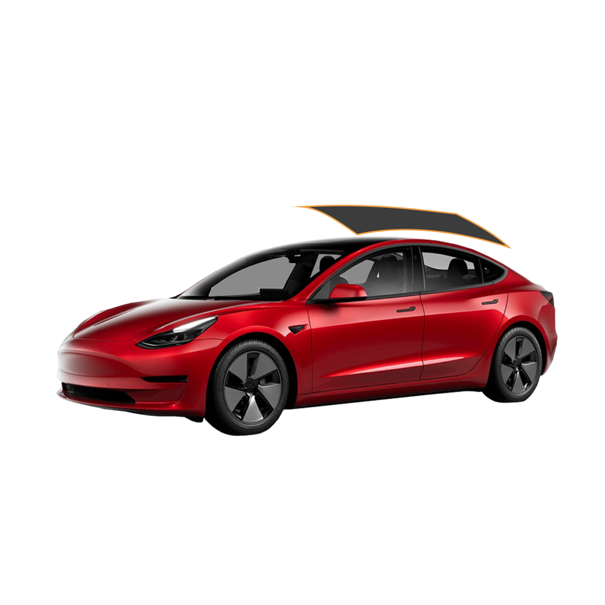 TESLA MODEL 3 CARBON WINDOW TINT REAR PANORAMIC WINDOW model 36